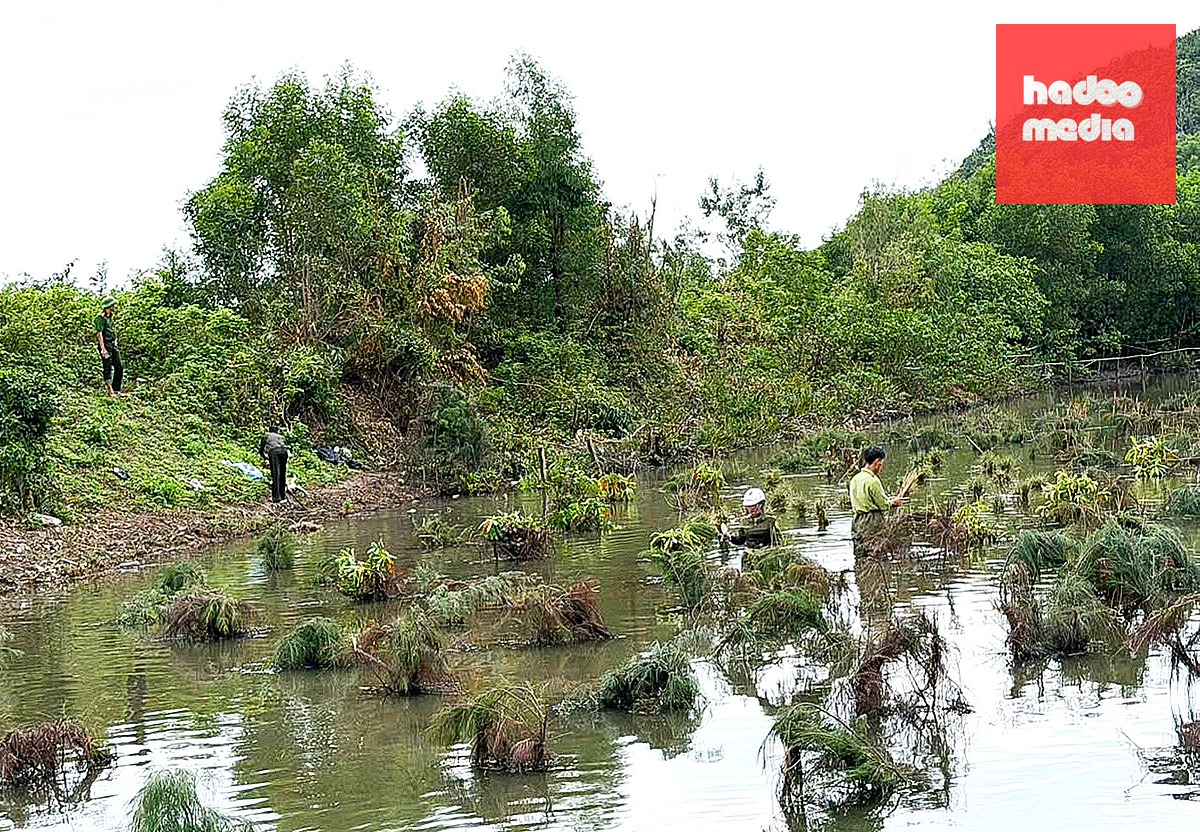 Xã Cổ Đạm phối hợp với lực lượng chức năng phá "trận địa" bẫy chim trời trên hồ nước.