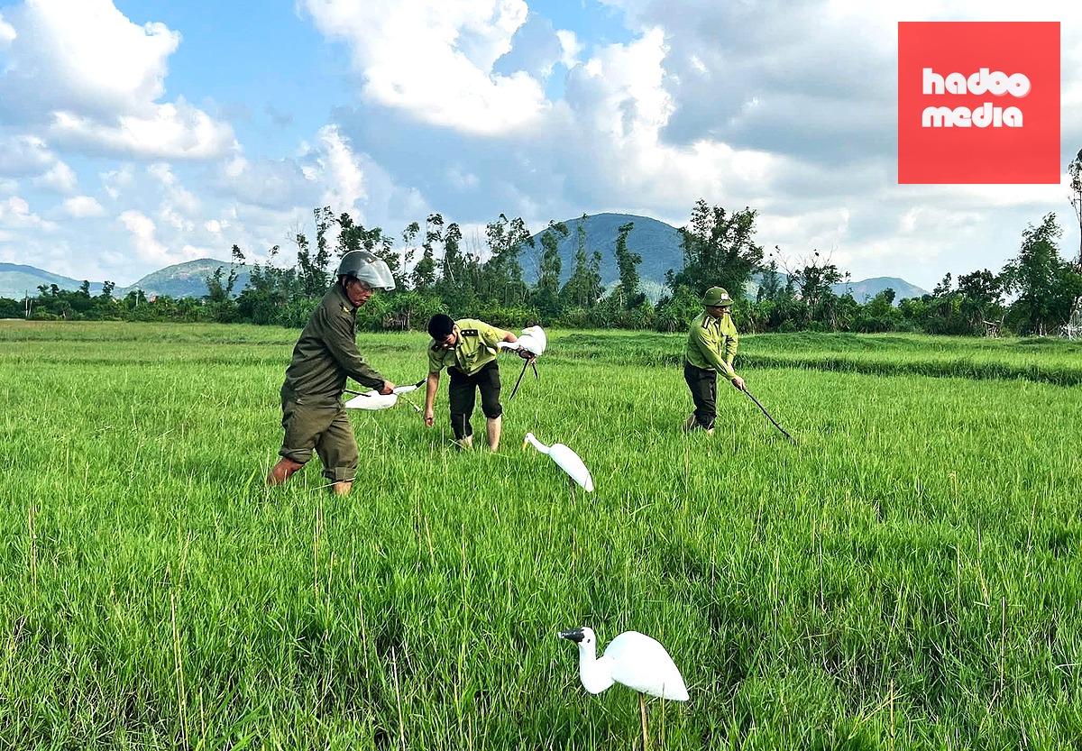 Cán bộ kiểm lâm cùng thành viên lực lượng bảo vệ an ninh cơ sở dẹp nạn bẫy bắt chim trời trên cánh đồng xã Cẩm Trung.