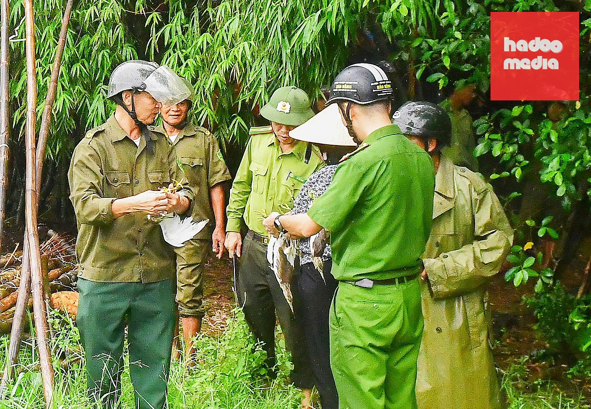 Những con chim mồi may mắn được lực lượng chức năng "giải cứu", thả về môi trường tự nhiên.