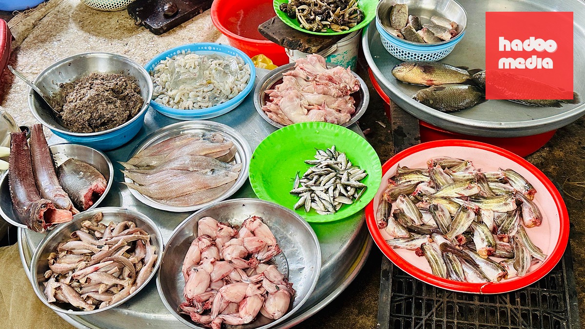 Nhiều loại cá đồng, chuột đồng bày bán tại chợ trung tâm Cao Lãnh, Đồng Tháp - Ảnh: ĐẶNG TUYẾT