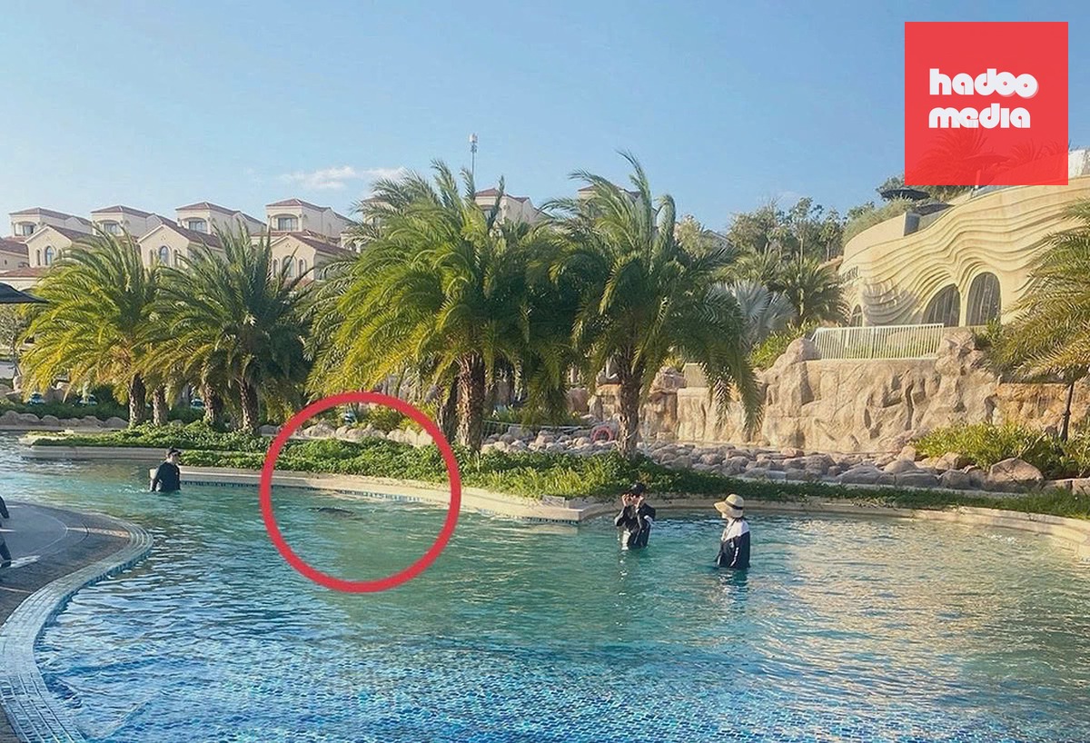 Vị trí bé trai người Nhật tử vong tại hồ bơi ở resort. Ảnh: Gia đình nạn nhân cung cấp