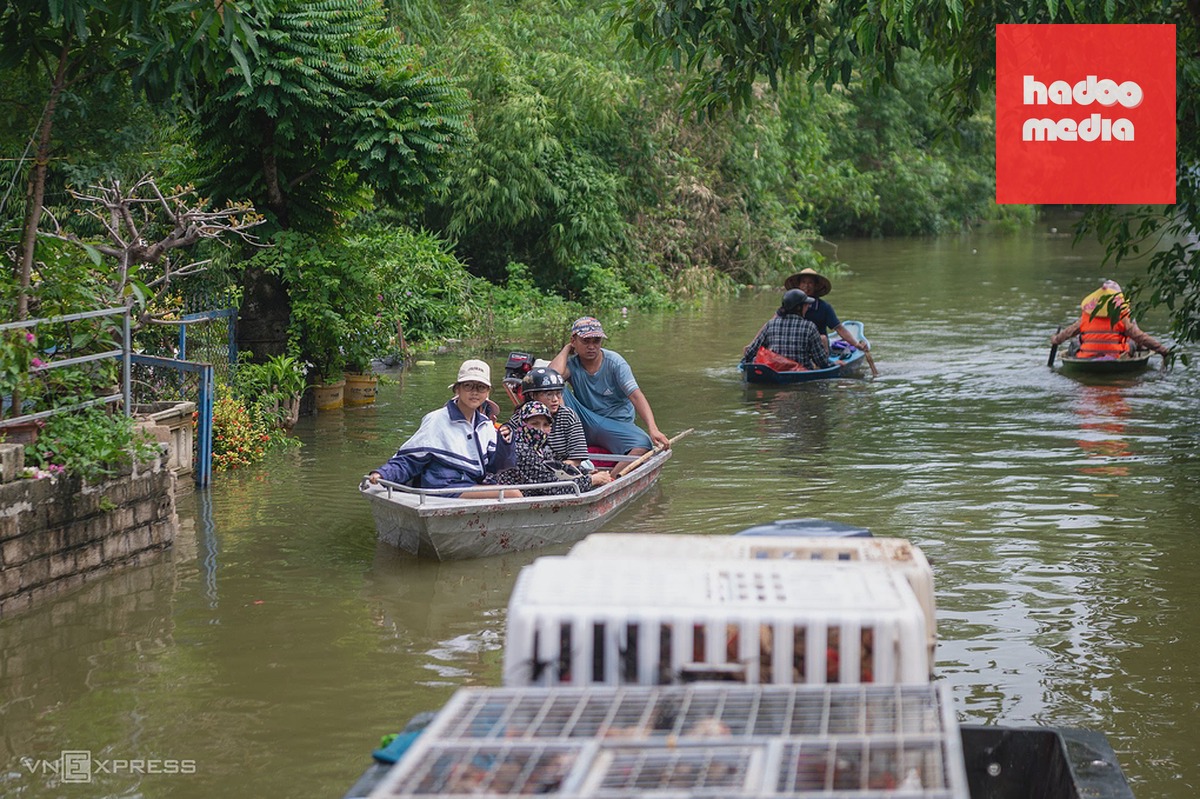 Ngập ngoại thành Hà Nội ngày 18/9. Ảnh: Thế Bằng