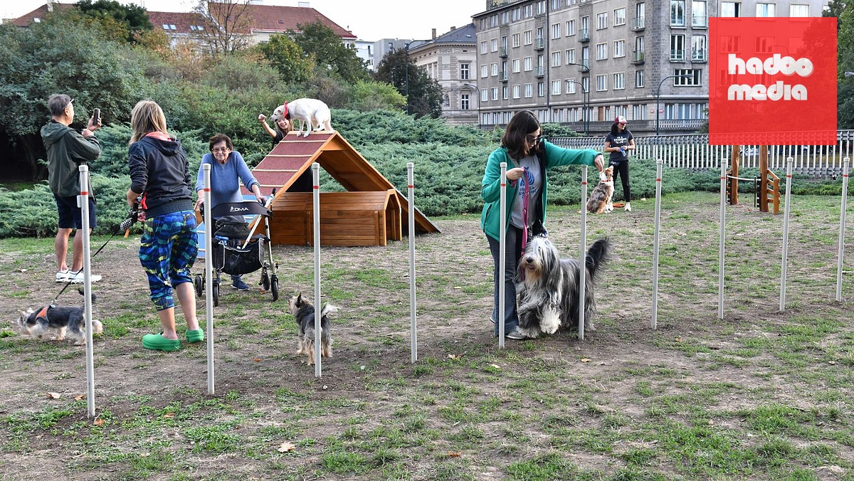 Khu Vui Chơi Mới Cho Chó Mở Cửa Tại Trung Tâm Praha Có Đường Chạy Agility