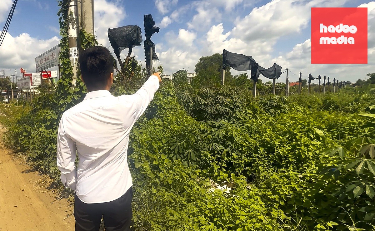 Khu đất Công ty An Phúc Tiến xin đầu tư làm cửa hàng xăng dầu 6 năm qua vẫn còn trống do chưa xong thủ tục điều chỉnh quy hoạch - Ảnh: CCN