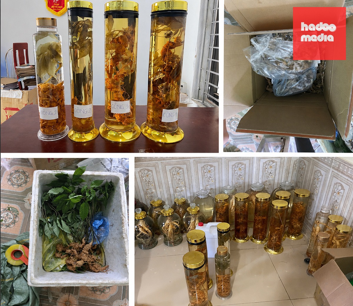 Tang vật vụ án - Ảnh: Công an tỉnh Thanh Hóa cung cấp