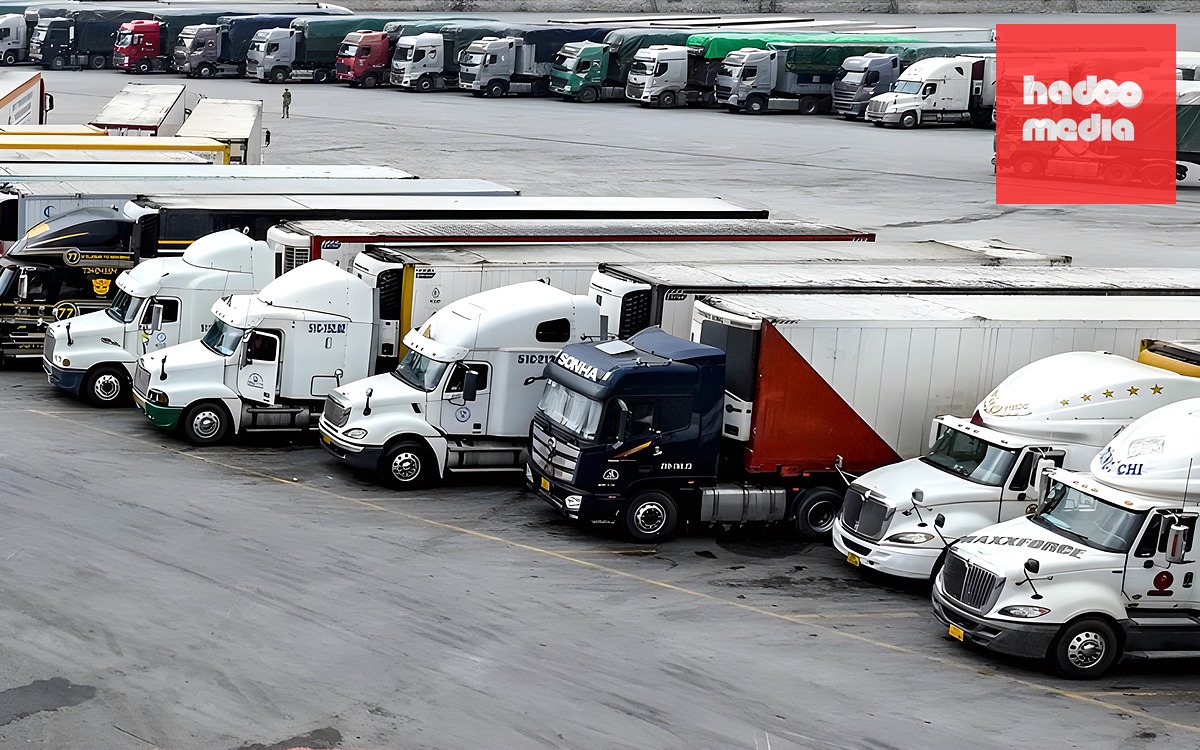 Phó Thủ tướng: Ưu tiên phát triển cảng cửa ngõ thành hệ sinh thái logistics với kinh tế biển  - Ảnh 2.