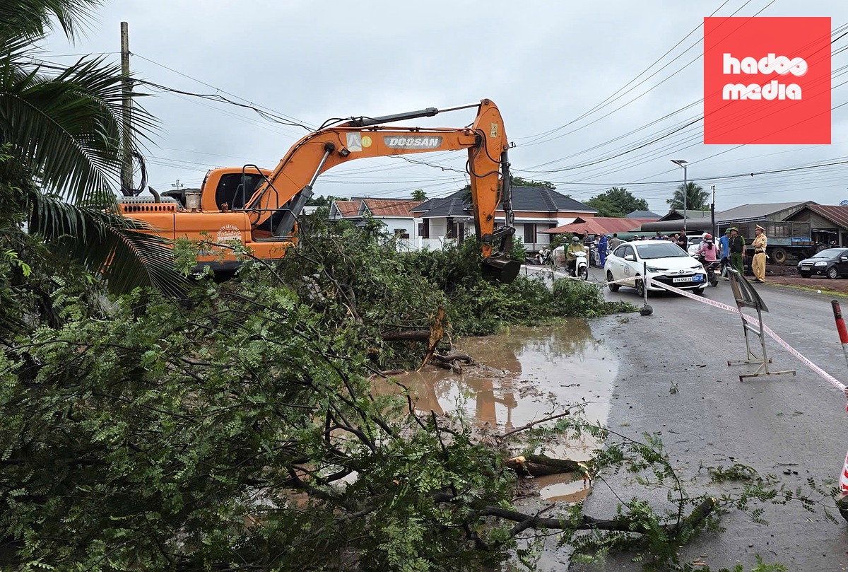 Phương tiện thực hiện cưỡng chế, tháo dỡ - Ảnh: N.H.