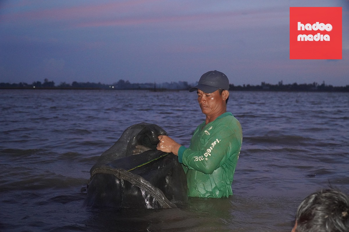 Anh Dương Văn Nhanh vất vả mưu sinh trên đồng nước đêm - Ảnh: MẬU TRƯỜNG