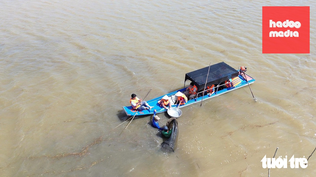 Ngư dân đổ dớn trên cánh đồng xã Thường Phước, Đồng Tháp kết hợp cho du khách trải nghiệm mùa nước nổi - Ảnh: MẬU TRƯỜNG