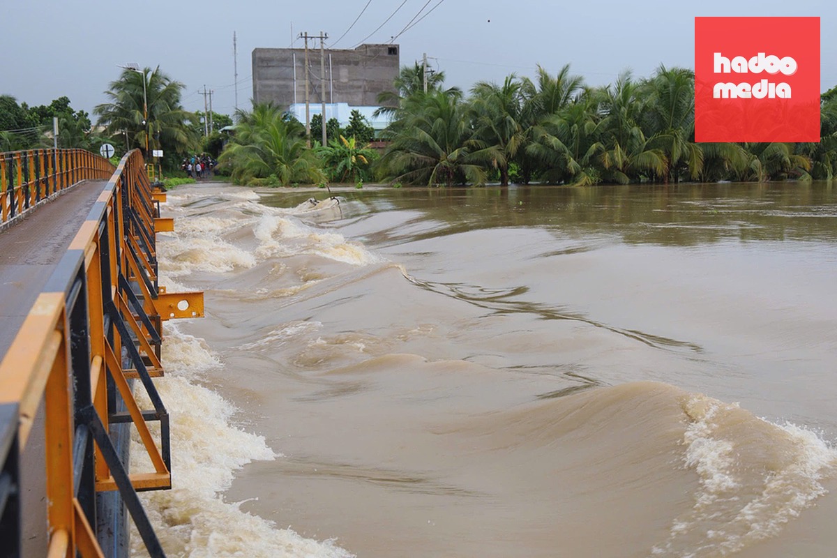 Nước sông Cà Ty cuồn cuộn chảy qua cầu Đúc, phường Bình Thuận. Ảnh: Thanh Biên