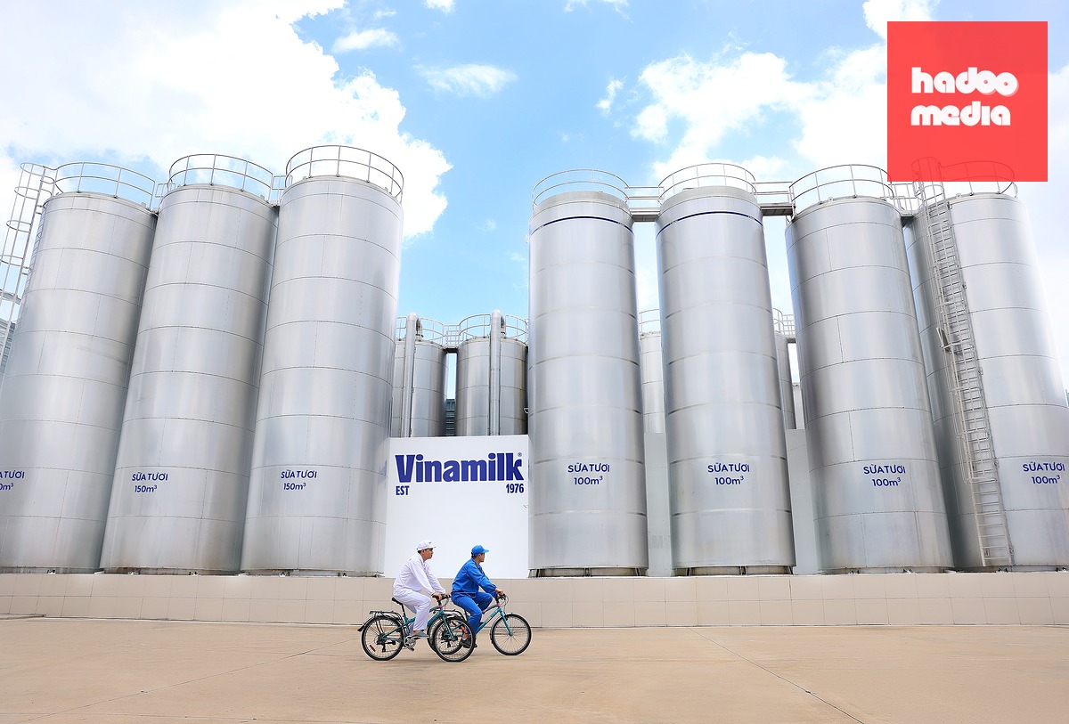 Chuẩn chất lượng được Vinamilk mở rộng trên toàn chuỗi, từ nguyên liệu, trang trại đến sản xuất và thành phẩm - Ảnh: Vi Nam
