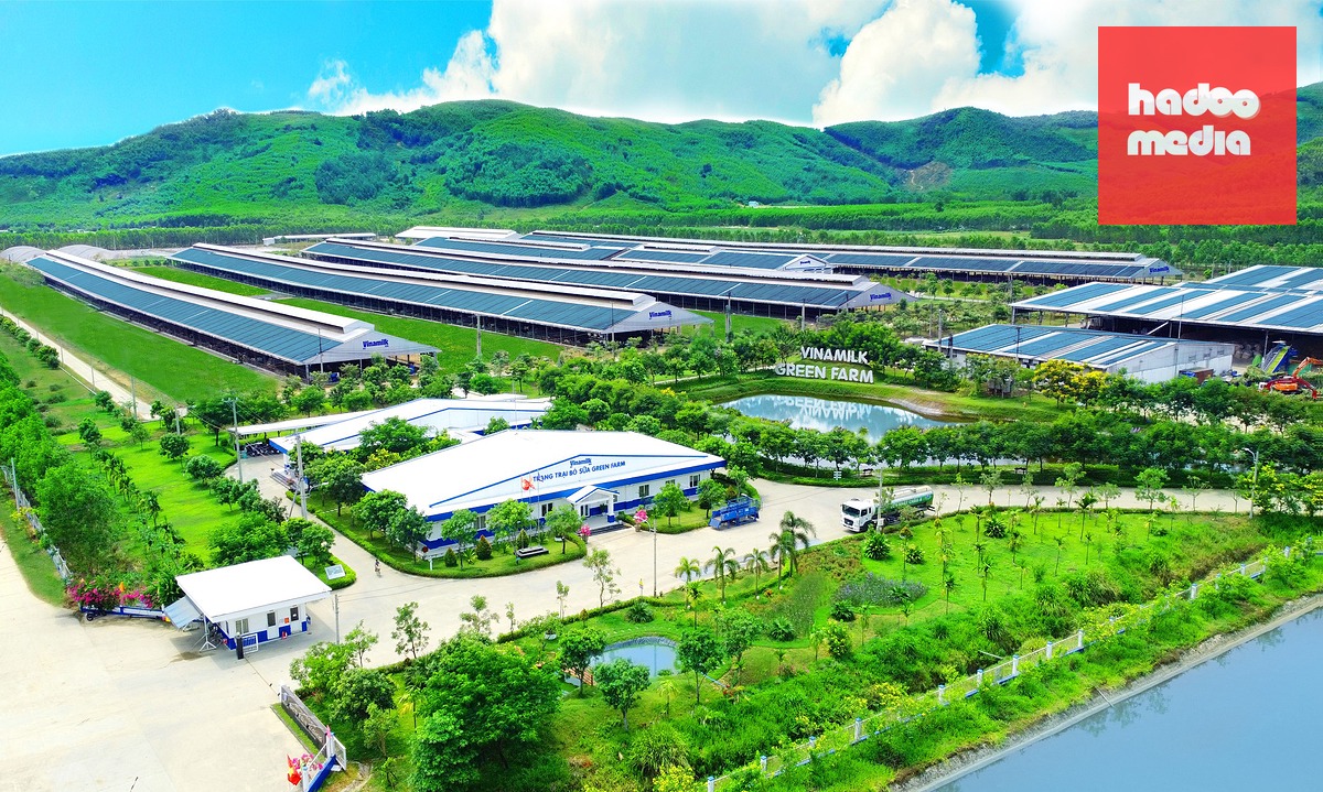 "Không ngừng nâng chuẩn" tiếp tục được đặt vào những bài toán mới về dinh dưỡng, công nghệ và phát triển bền vững - Ảnh: Vi Nam