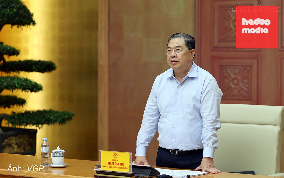 Phó thủ tướng Thường trực Phạm Gia Túc phát biểu tại cuộc họp, ngày 25/9. Ảnh: VGP