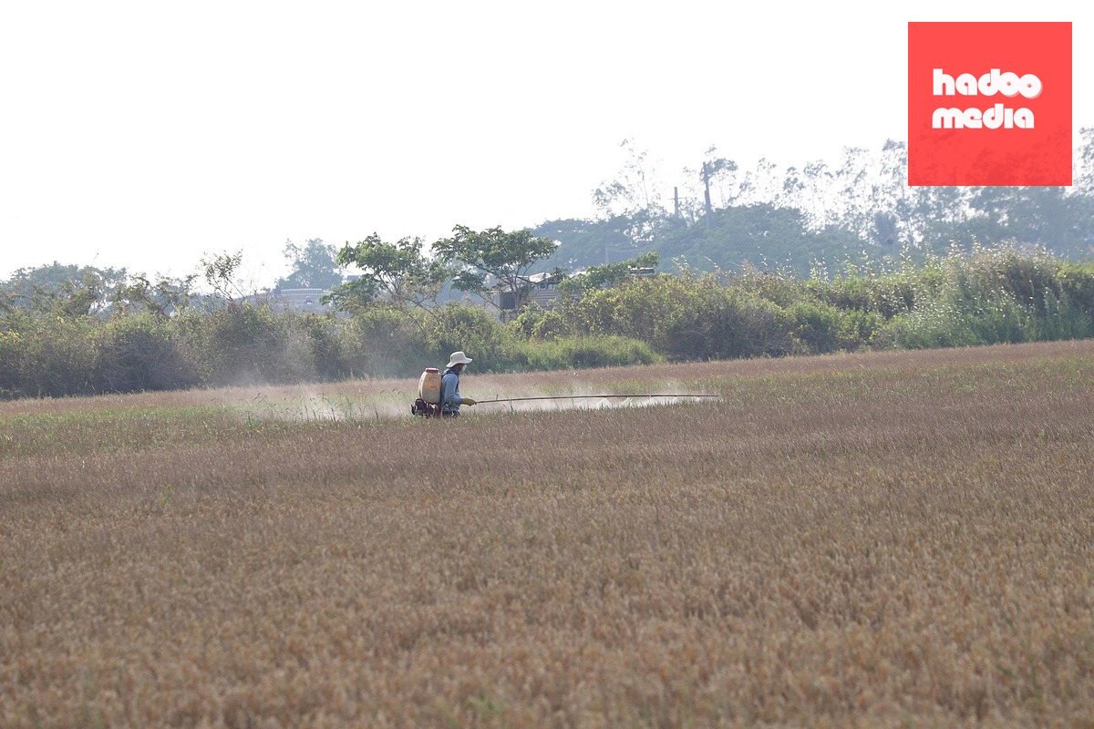 Giữa mùa nước nổi mà lo hạn mặn khốc liệt vì El Nino:  Bài 3: Không để vào thế trở thay không kịp khi ứng phó hạn mặn - Ảnh 4.