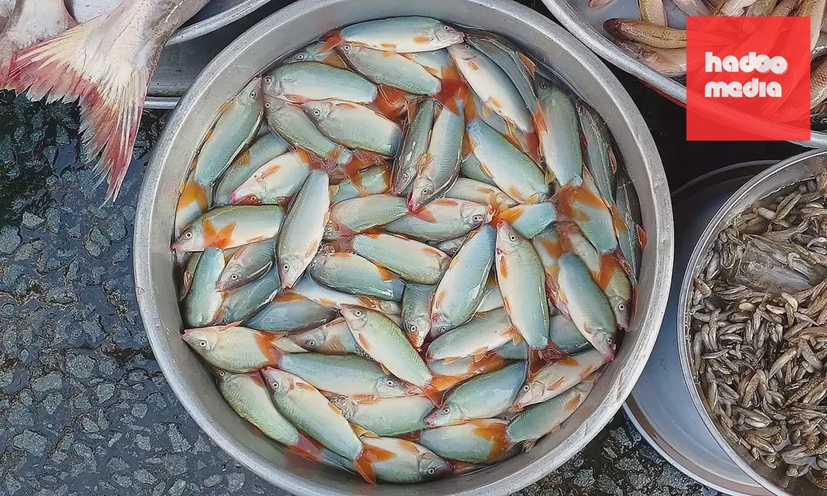 Cá heo nước ngọt bán tại chợ ở TP HCM. Ảnh: Thi Hà