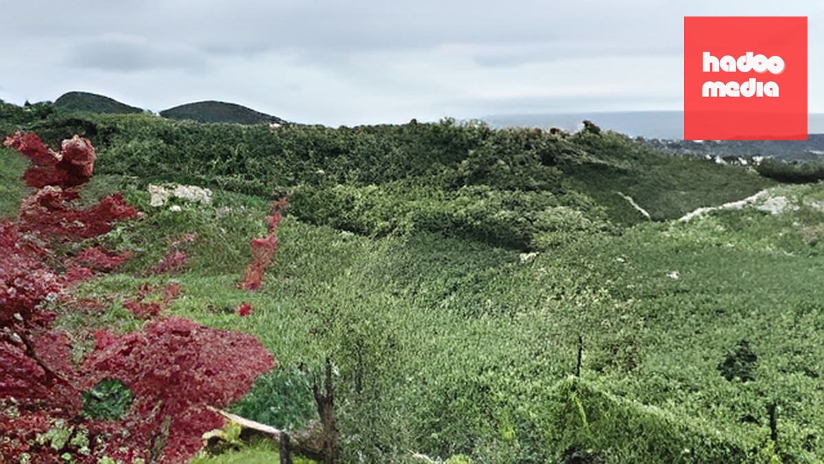 Người phụ nữ Alaska chuẩn bị lương thực cho mùa đông cách ly nửa năm