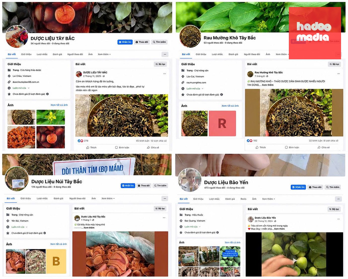 Các tài khoản mạng xã hội Facebook mà Mạnh dùng để bán hàng - Ảnh: TỐNG HUỆ