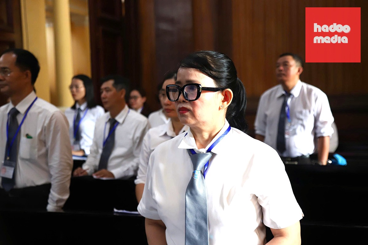 Luật sư công sẽ tham gia bảo vệ lợi ích công- Ảnh: NGỌC LÂN