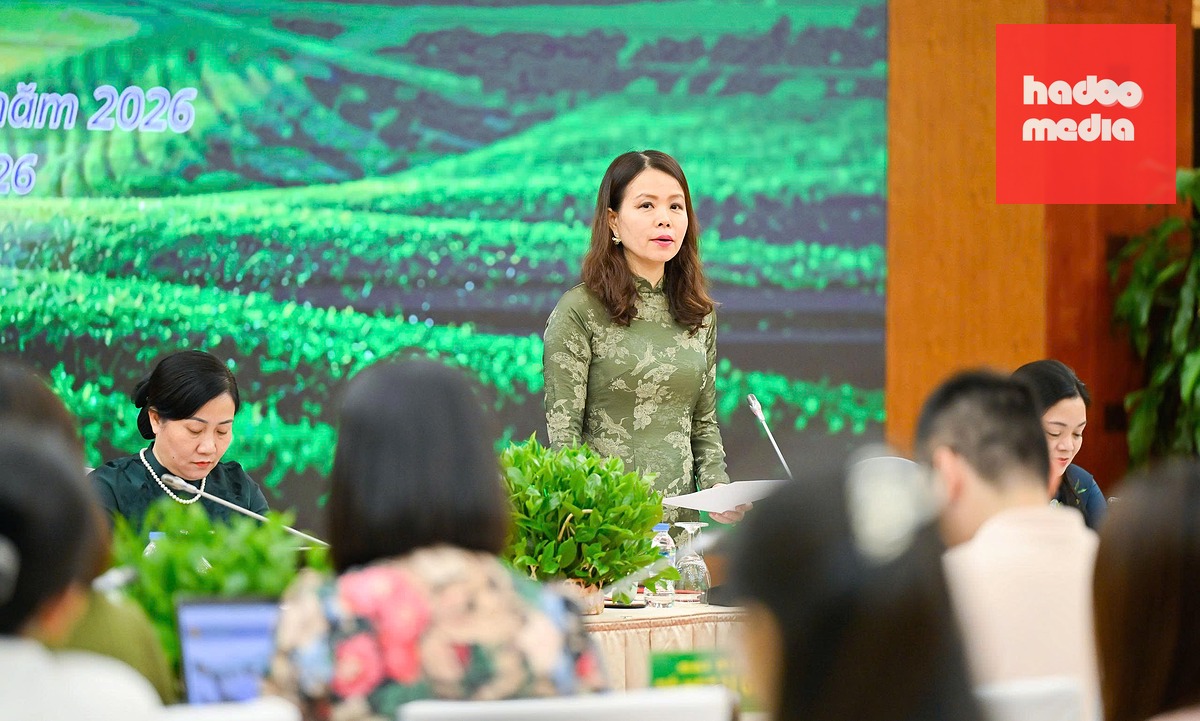 Thứ trưởng Bộ Ngoại giao Nguyễn Minh Hằng tại họp báo - Ảnh: NGUYỄN HỒNG