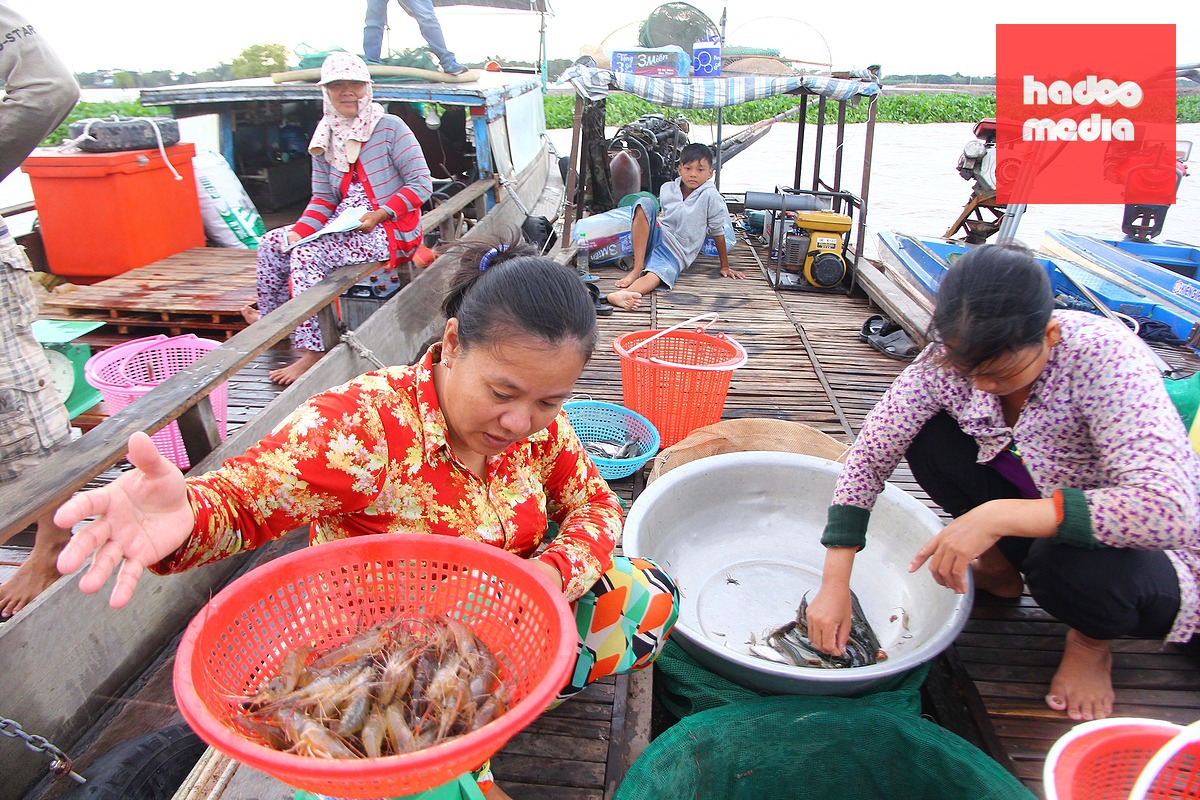 Theo dòng Mekong, 'lời nguyền con rồng'  và câu chuyện phát triển - Bài 1: Nơi dòng sông gặp biển  - Ảnh 2.