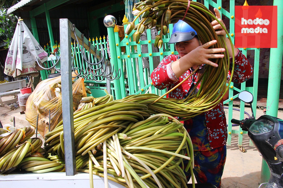 Theo dòng Mekong, 'lời nguyền con rồng'  và câu chuyện phát triển - Bài 1: Nơi dòng sông gặp biển  - Ảnh 3.