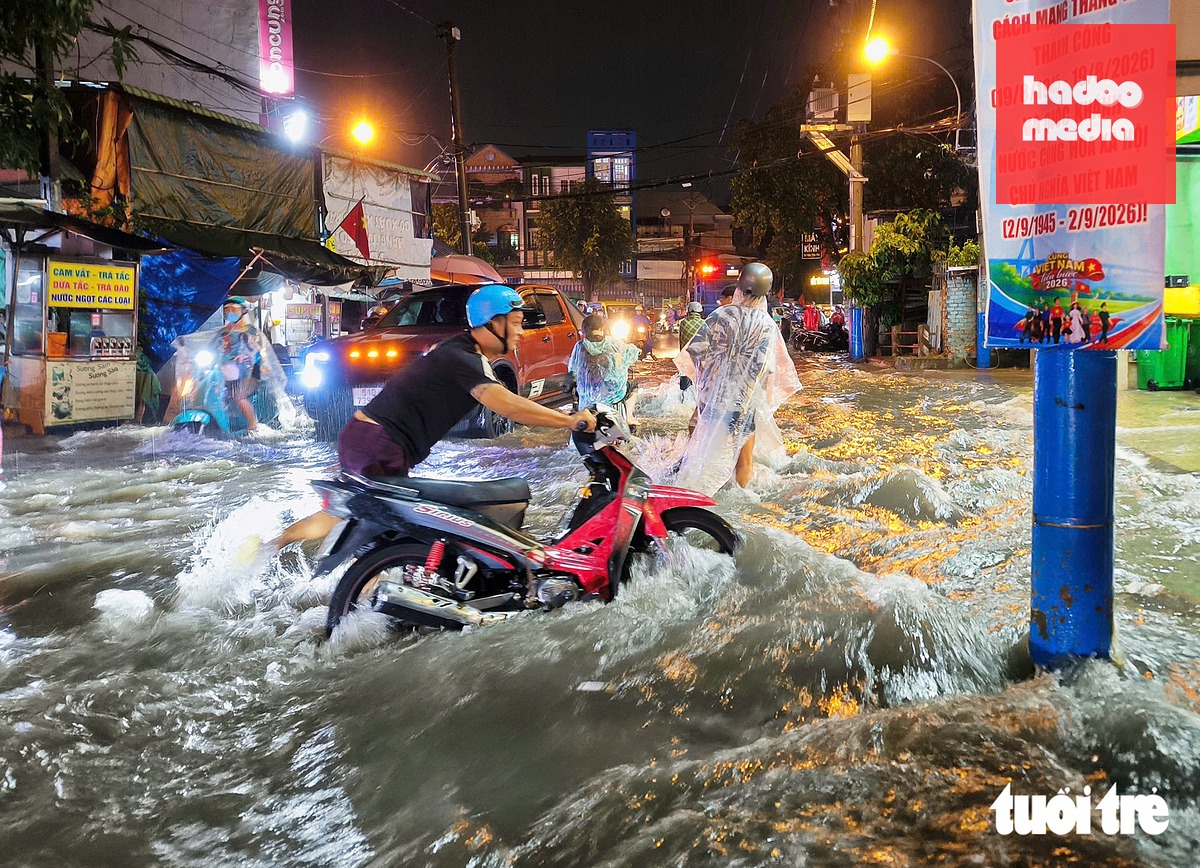 UBND TP.HCM chỉ đạo các cơ quan, đơn vị rà từng điểm ngập, tìm nguyên nhân như cống hẹp, bồi lắng, sụt lún hoặc cửa xả bị ảnh hưởng khi triều cao để có hướng xử lý - Ảnh: CHÂU TUẤN