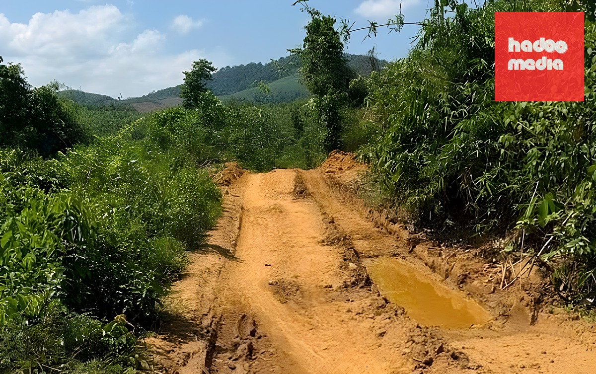 Cung đường ông Barry đi lạc. Ảnh: Nhân vật cung cấp