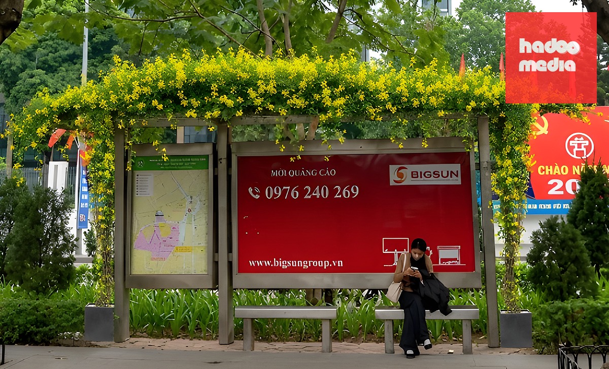 Phối cảnh trồng cây leo tại nhà chờ xe buýt.