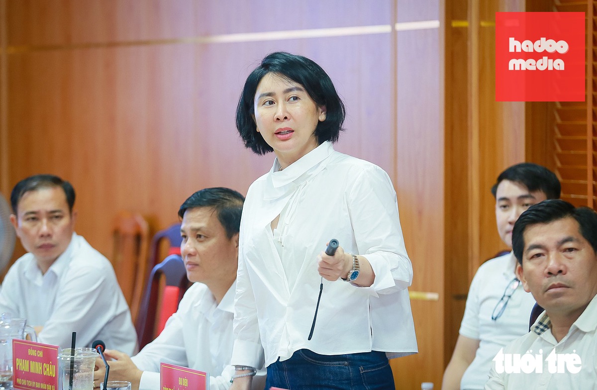 Bà Trần Vân Anh - Phó tổng giám đốc Tập đoàn Vingroup (đại diện nhà đầu tư) - trình bày tại cuộc họp - Ảnh: CHÂU TUẤN