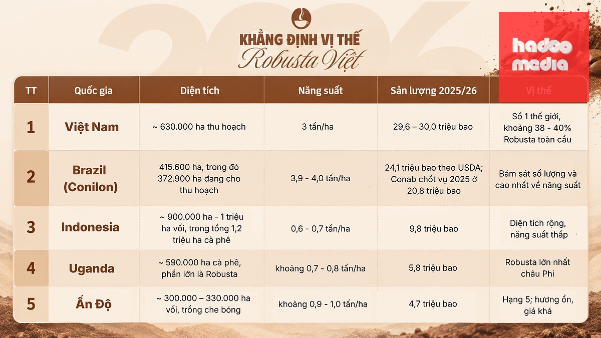 5 quốc gia có diện tích và sản lượng Robusta lớn trên thế giới - Ảnh: K.V.