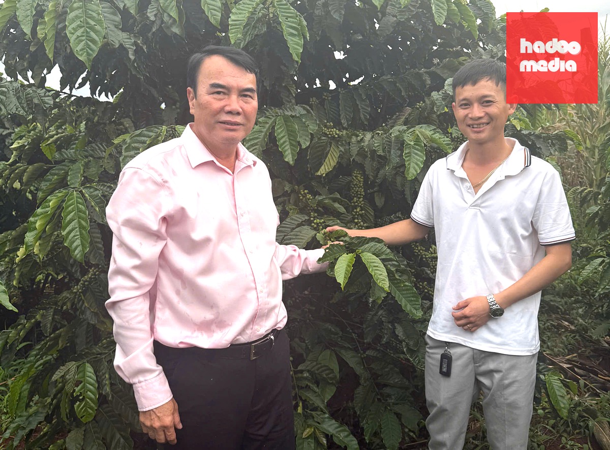 TS Phạm S và ông Lê Hoàng Bá Vương, Giám đốc HTX Nam Ban - Ảnh: TS Phạm S