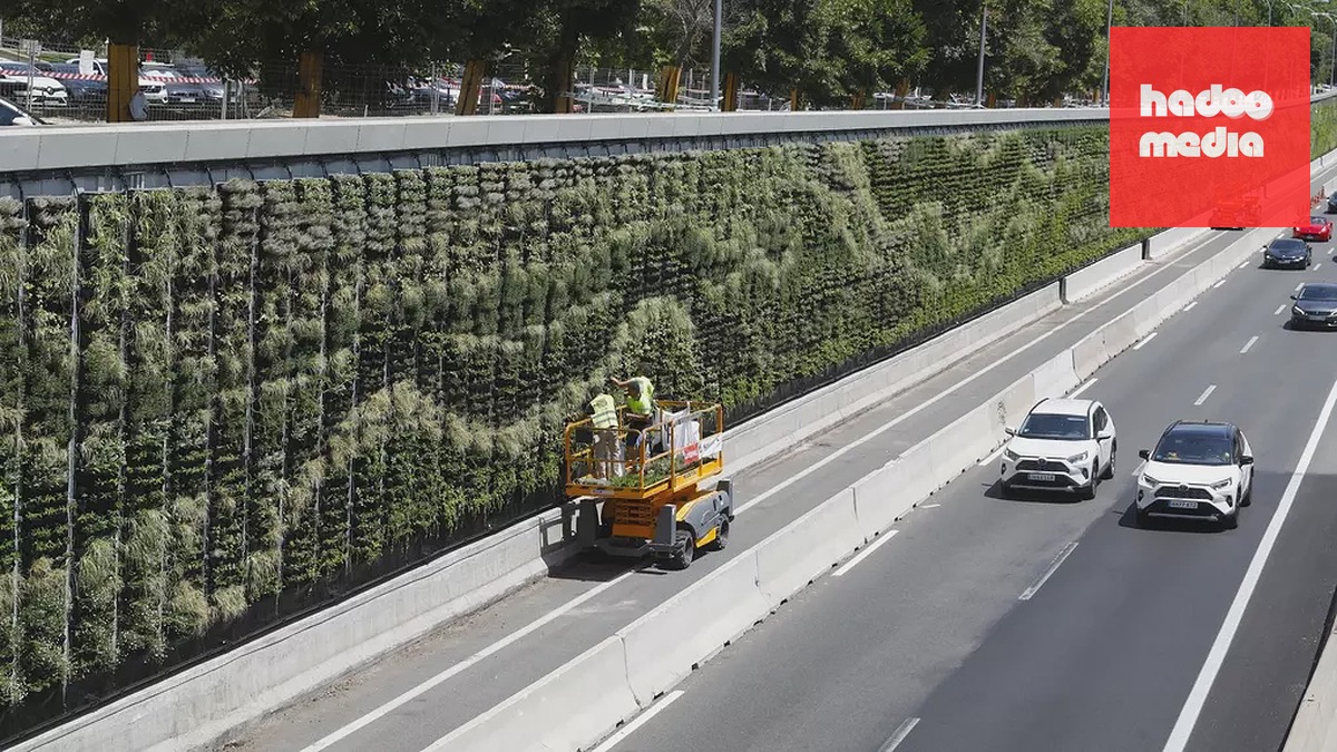Bức tường xanh của một tuyến vành đai tại thành phố Madrid, Tây Ban Nha. Ảnh: Larazon.es