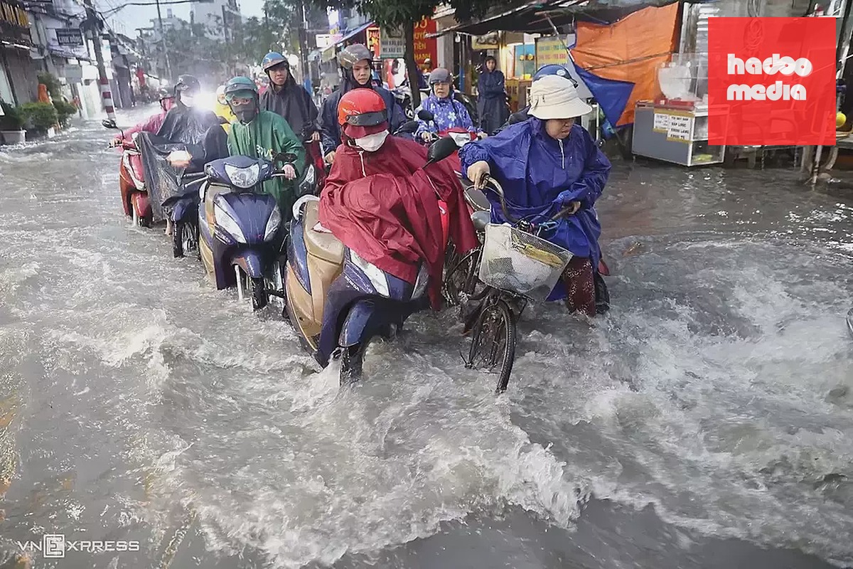 Nước ngập chảy cuồn cuộn trên đường Lý Tế Xuyên, TP Thủ Đức cũ, chiều 22/9. Ảnh: Quỳnh Trần