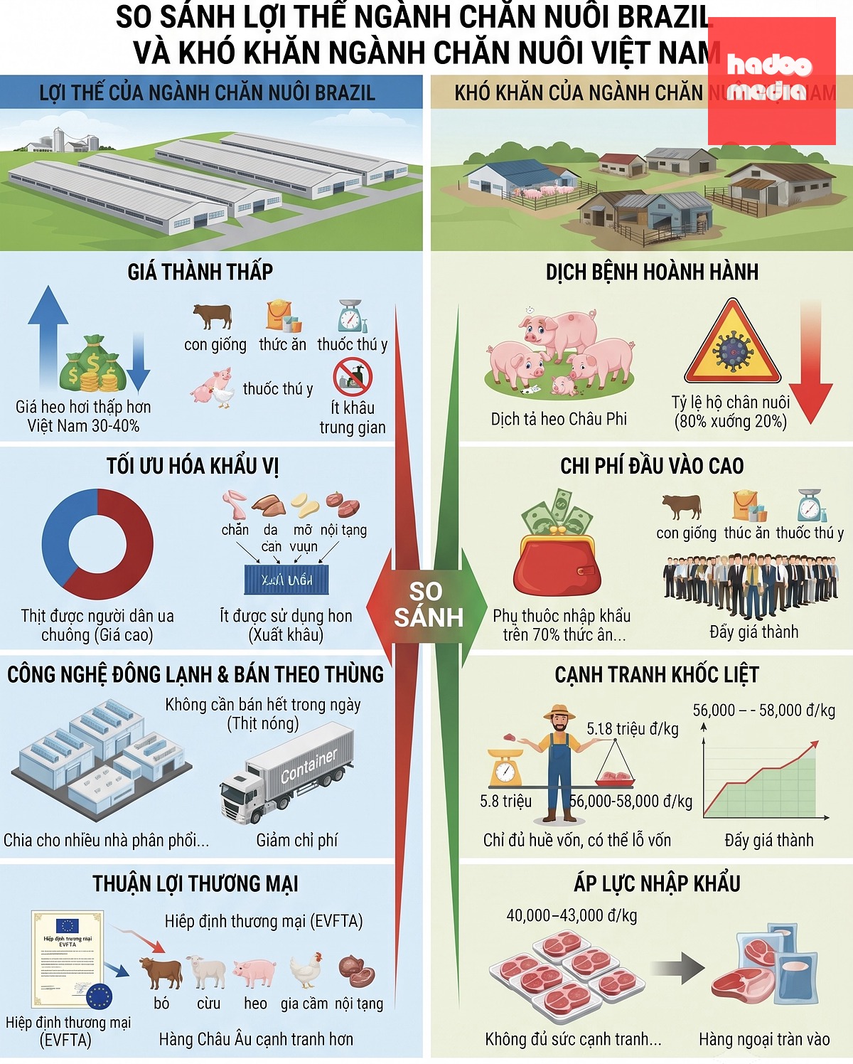 Bảng so sánh lợi thế của ngành chăn nuôi Brazil và chăn nuôi trong nước - Ảnh: T.N. - AI hỗ trợ