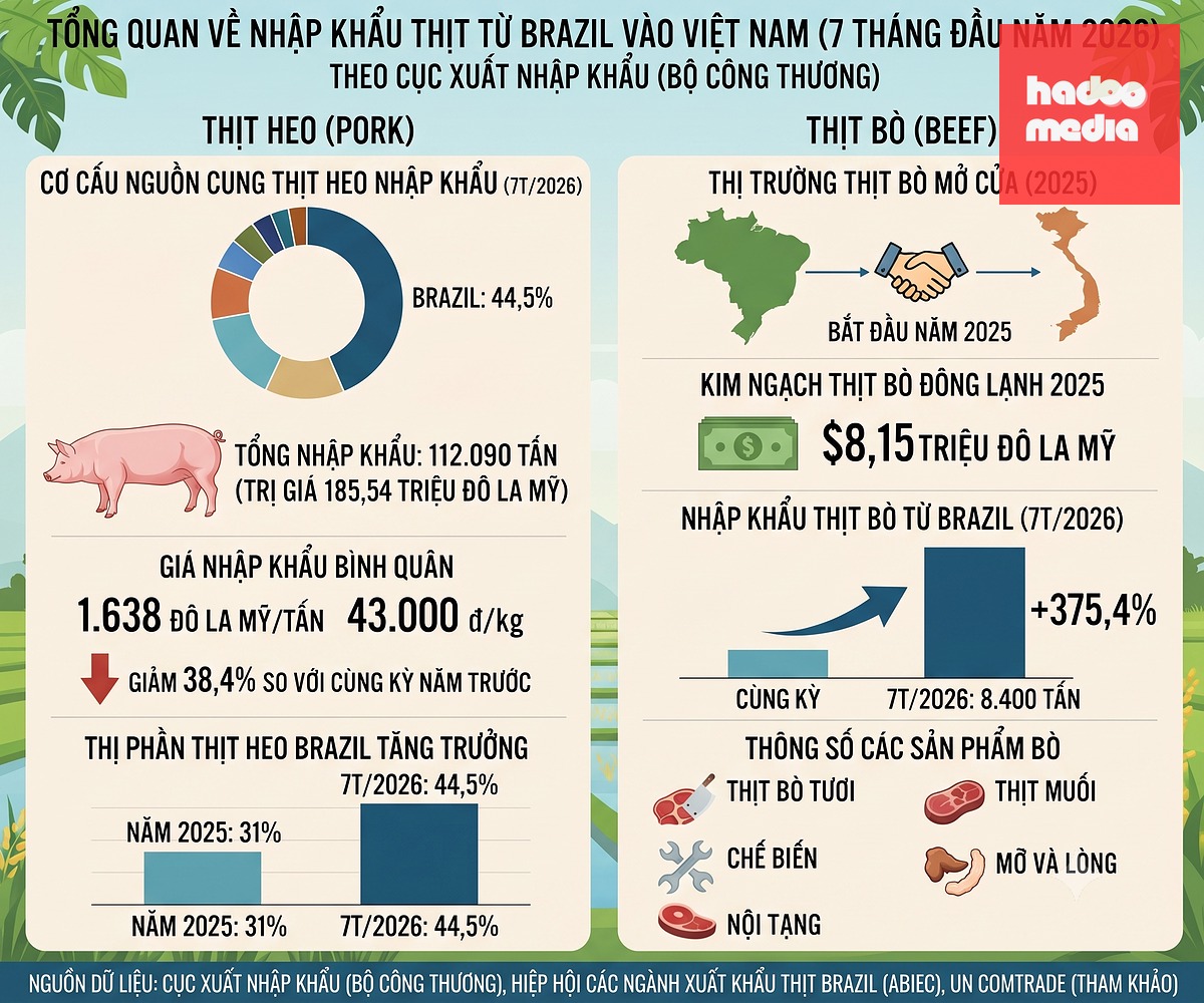 Số liệu nhập khẩu các loại từ Brazil - Ảnh: T.N. - AI hỗ trợ