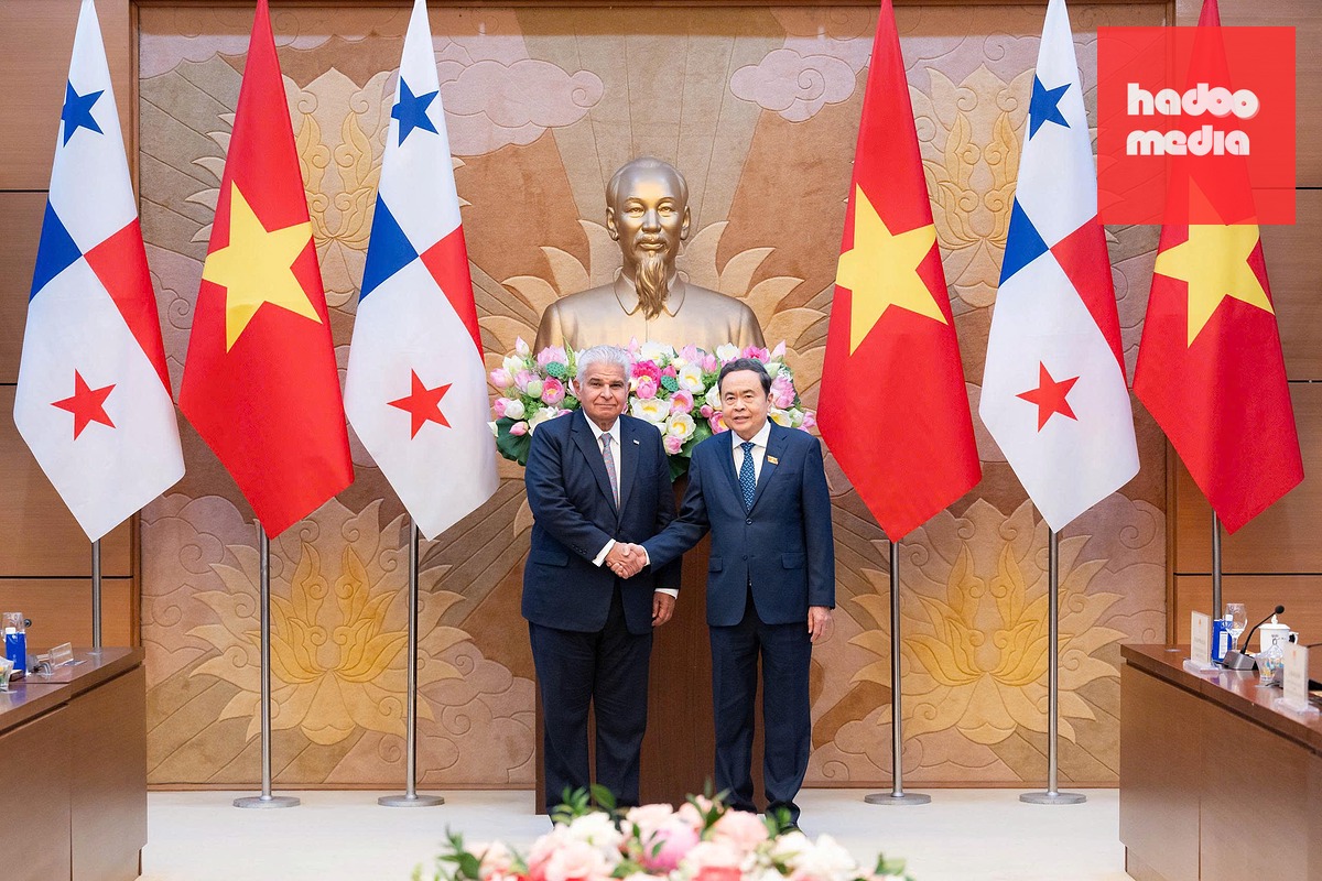 Panama sẵn sàng hỗ trợ Việt Nam tiếp cận các thị trường và chuỗi cung ứng ở châu Mỹ - Ảnh 4.