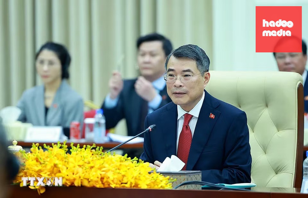 Thủ tướng Lê Minh Hưng phát biểu tại hội đàm - Ảnh: TTXVN