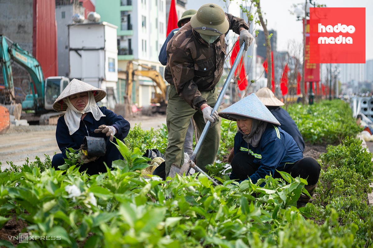 Thông xe kỹ thuật vành đai 2,5 Hà Nội: Bước tiến quan trọng trong giao thông đô thị