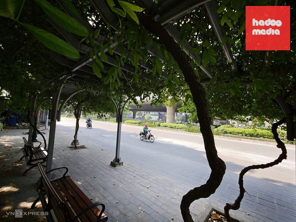 Hà Nội Tăng Cường Mảng Xanh Trên Các Công Trình Giao Thông
