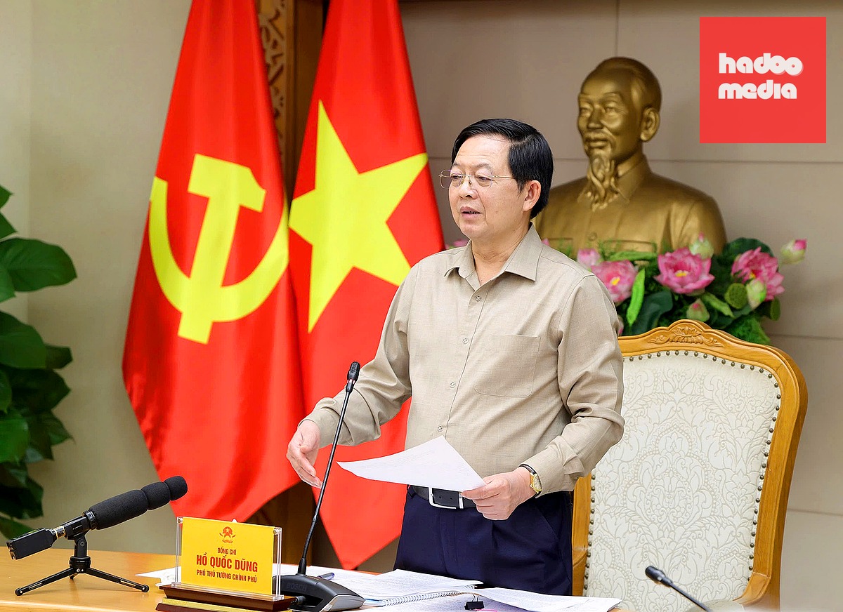 Phó thủ tướng Hồ Quốc Dũng phát biểu tại cuộc họp - Ảnh: GIA HUY