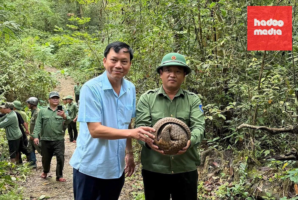 Con tê tê Java được thả hôm 9-10 - Ảnh: ĐVCC