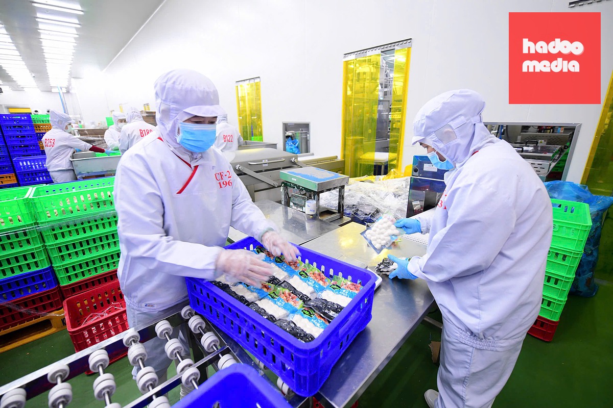 LC Foods đẩy mạnh ứng dụng công nghệ, hiện đại hóa dây chuyền sản xuất nhằm nâng cao năng suất và sức cạnh tranh - Ảnh: QUANG ĐỊNH
