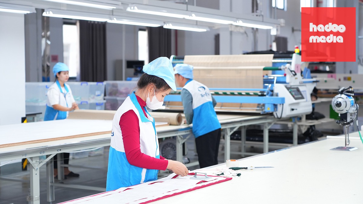 Tây Ninh tổ chức 4 vùng không gian phát triển công nghiệp chủ yếu với 11 ngành trọng tâm - Ảnh 5.