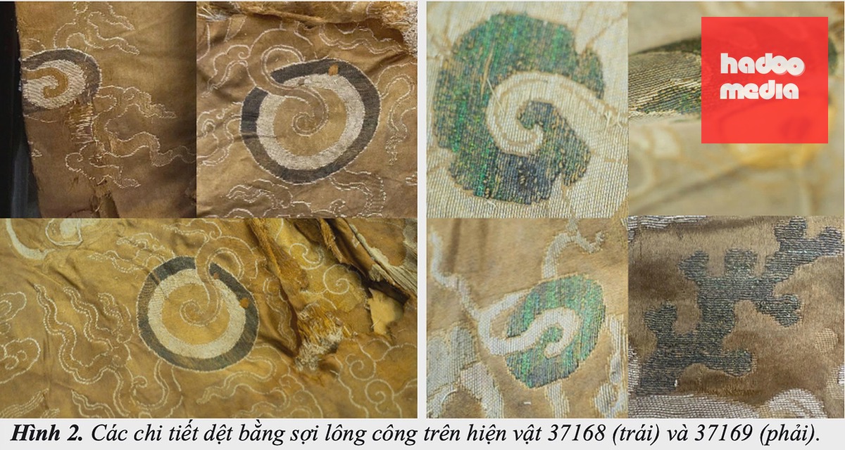 Các chi tiết dệt bằng sợi lông công trên long bào vua Lê Dụ Tông. Ảnh: Nhóm nghiên cứu