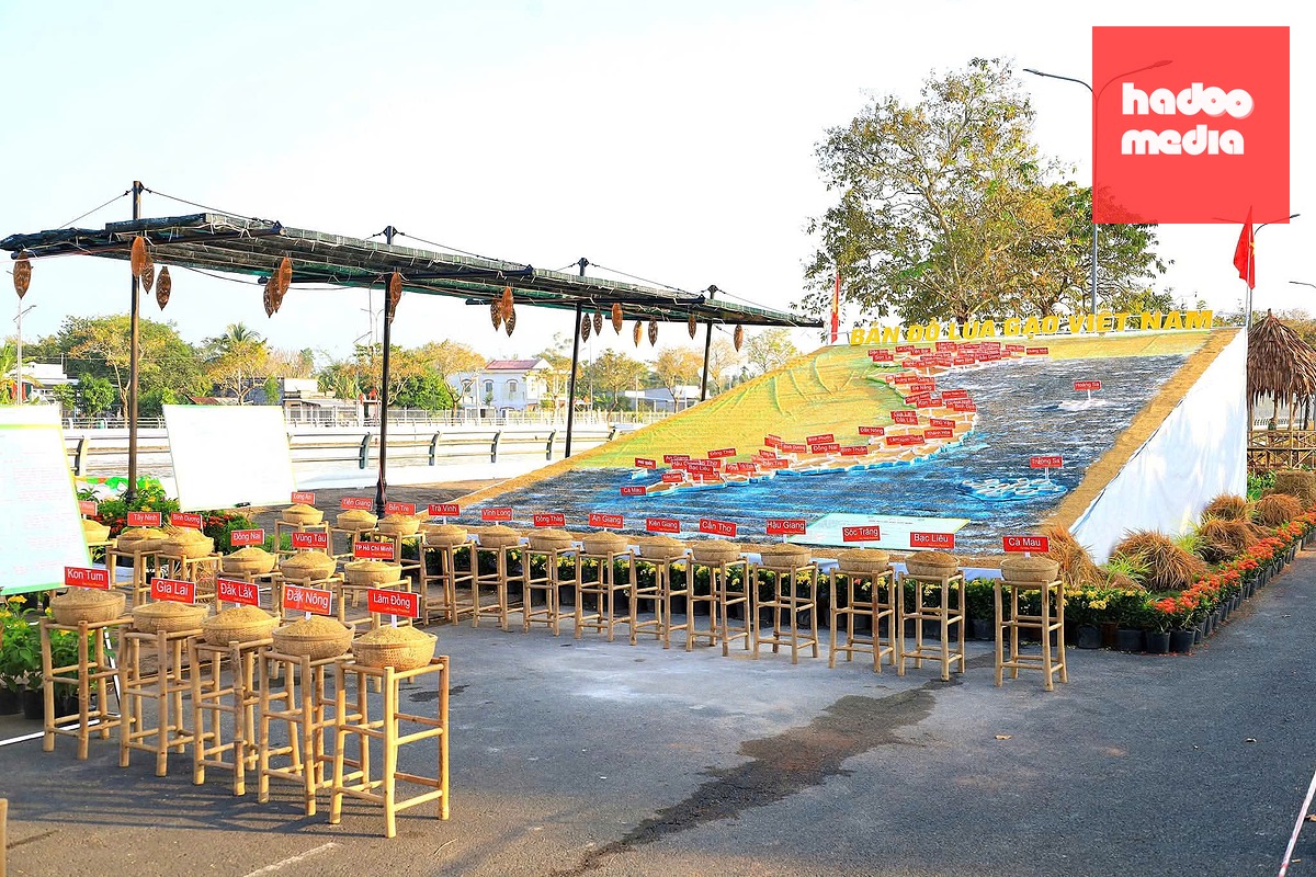 Festival ngành hàng lúa gạo Việt Nam tổ chức tại tỉnh Hậu Giang (cũ) năm 2023 - Ảnh: TRUNG PHẠM
