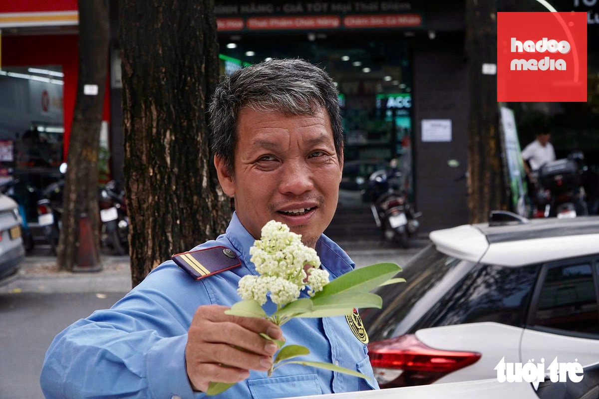 Ông Tuấn, bảo vệ trên phố Trung Hòa, cho biết hoa sữa thơm, nhưng nếu nồng nặc quá sẽ gây khó chịu - Ảnh: PHẠM TUẤN
