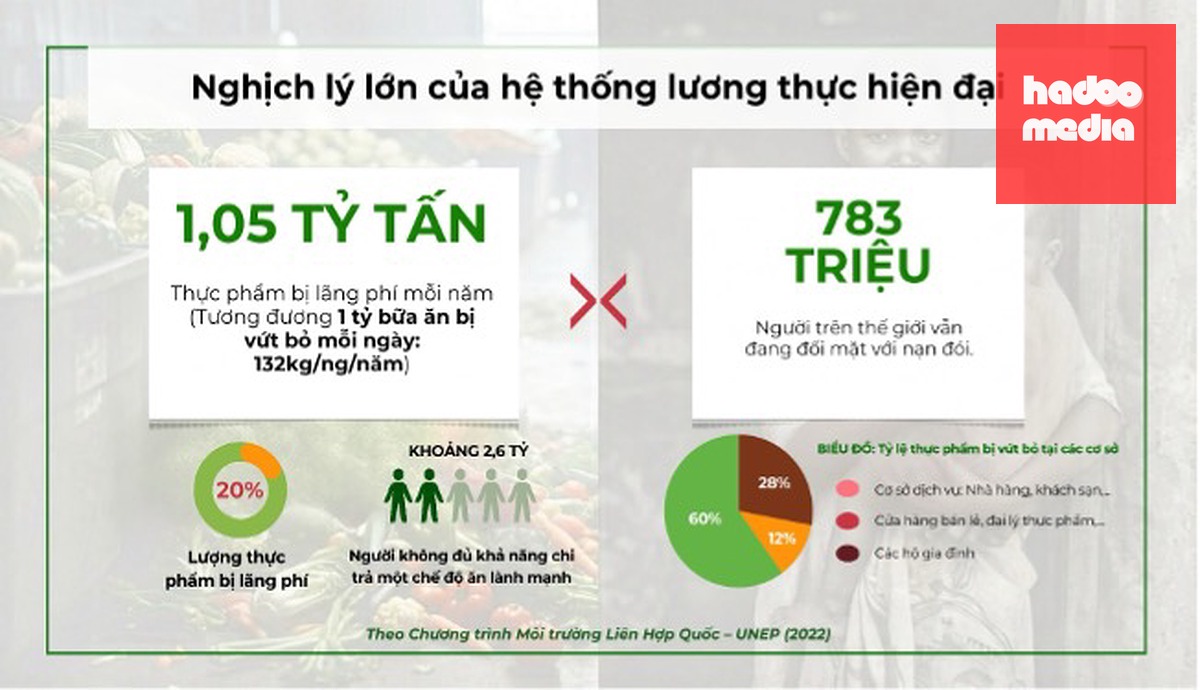 4 tỉ USD nông sản "bốc hơi" trên đường ra chợ - Ảnh 3.