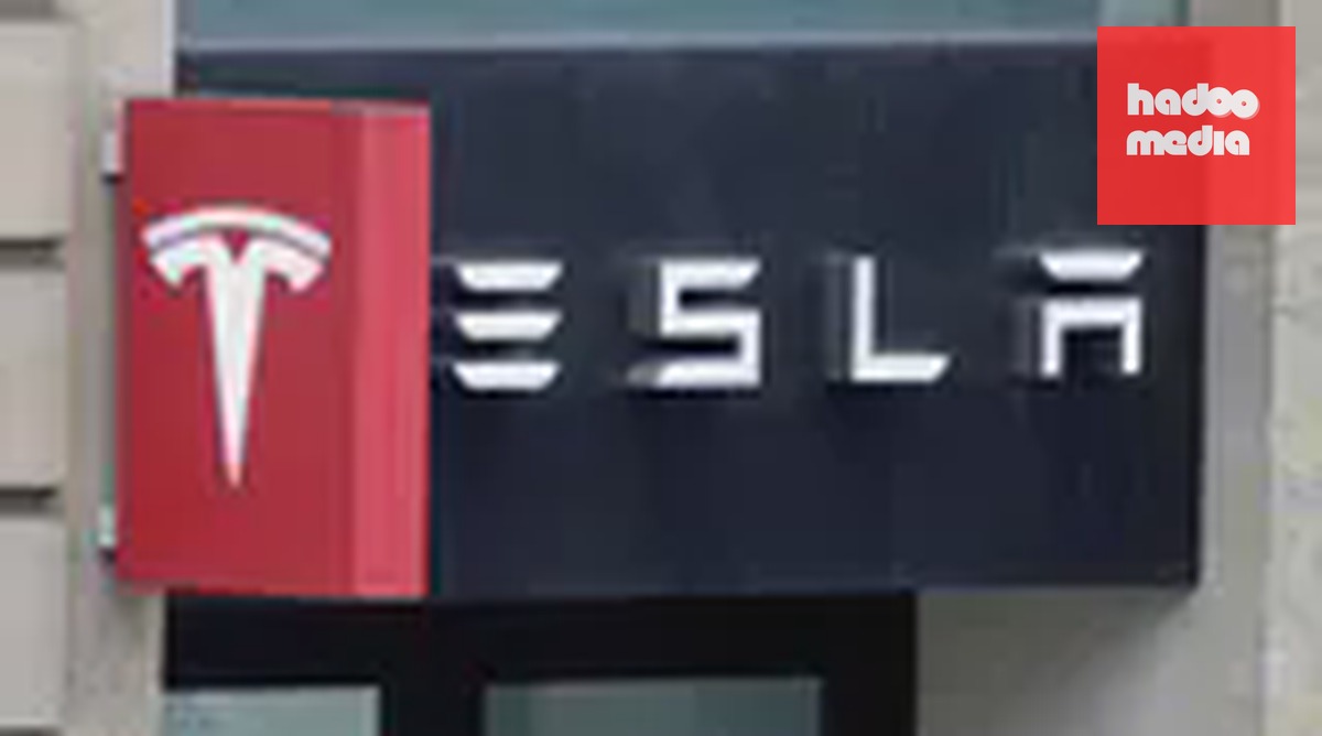 Elon Musk hé lộ khả năng hợp nhất SpaceX và Tesla sau lợi nhuận kỷ lục