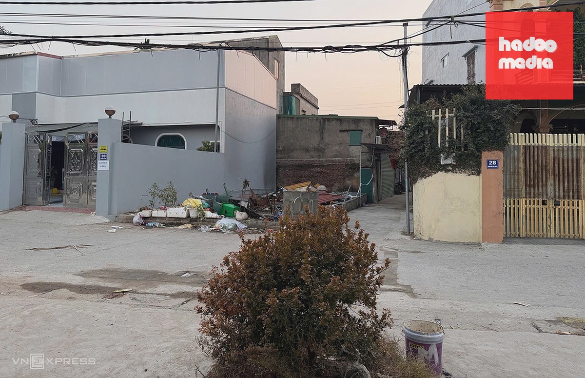 Bị nhiễm khí clo sau sự cố rò rỉ, cây cảnh chuyển màu nâu sậm. Ảnh: Huy Mạnh
