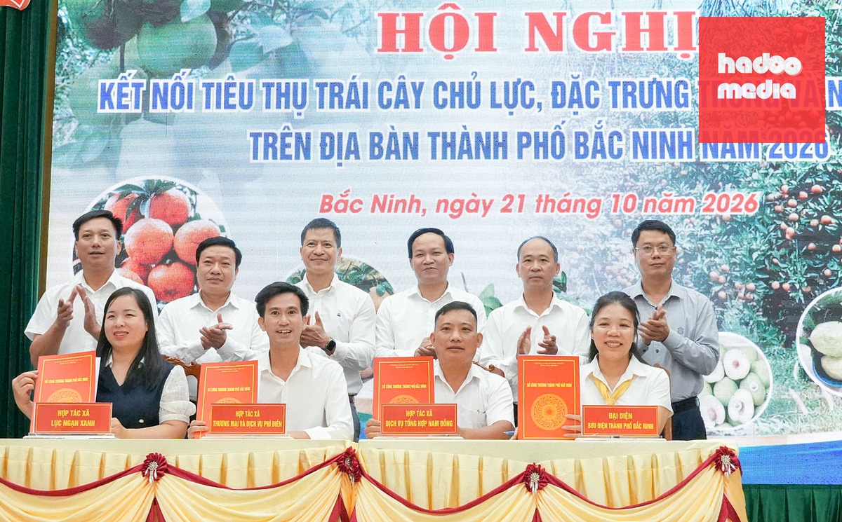 Các hợp tác xã, đơn vị sản xuất đã ký kết biên bản hợp tác tiêu thụ cam, bưởi, táo, ổi và các nông sản chủ lực, đặc trưng năm 2026 với các doanh nghiệp logistics, hệ thống phân phối và chợ đầu mối - Ảnh: THU HƯƠNG